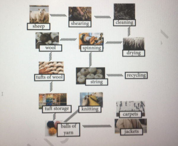 the-diagram-details-the-process-of-making-wool-summarise-the